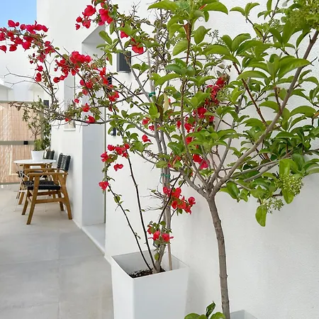 Joelia In Paros With Private Jacuzzi! ナウサ