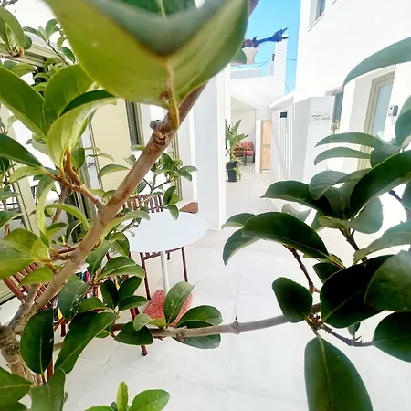 Joelia In Paros With Private Jacuzzi! Tatil Evi *